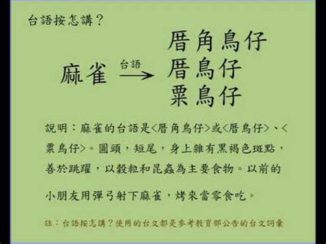 麻將台語|麻雀台語怎麼說？